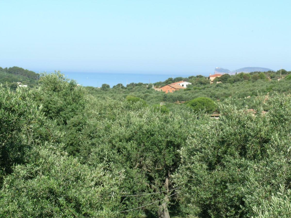 Villa La Scaletta 阿尔盖罗 外观 照片